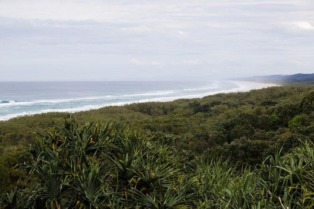 Whale Watch Ocean Beach Resort Point Lookout Exterior foto